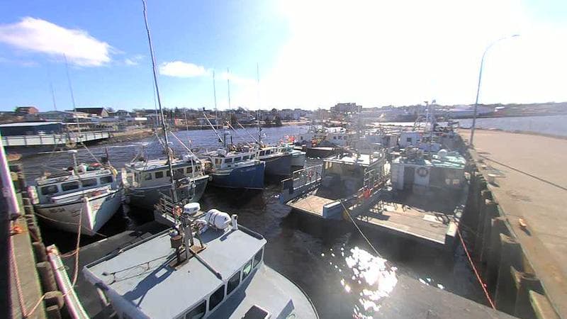 Lobster Rock Wharf East