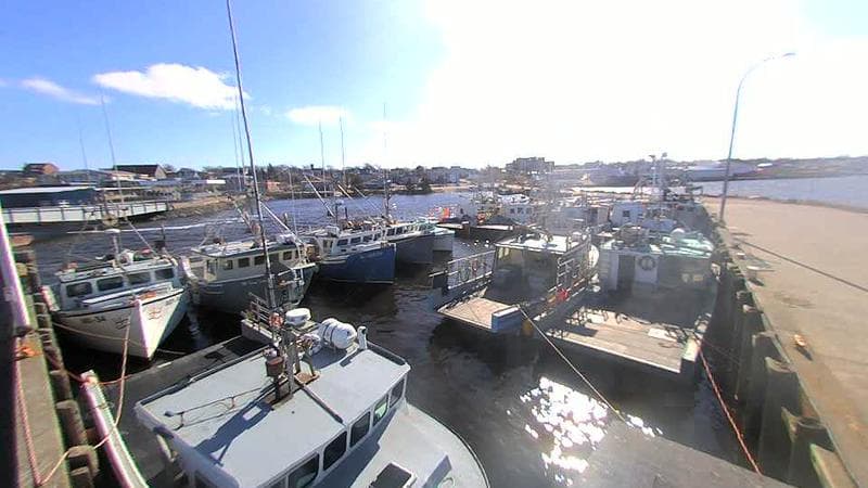 Lobster Rock Wharf East