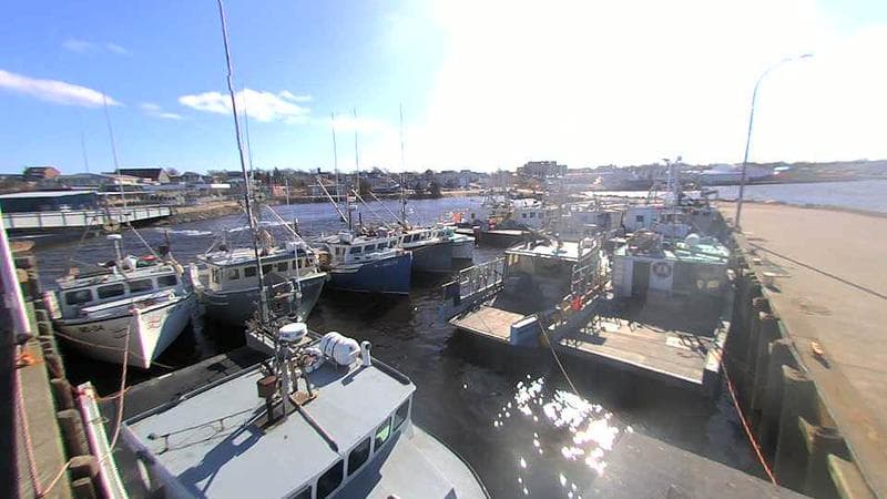 Lobster Rock Wharf East