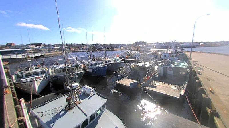 Lobster Rock Wharf East