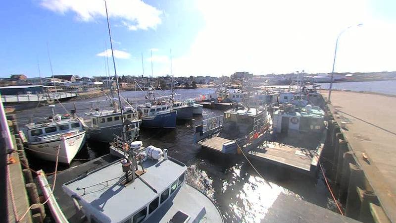 Lobster Rock Wharf East