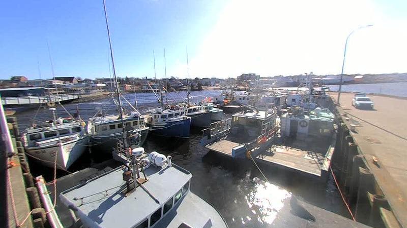 Lobster Rock Wharf East