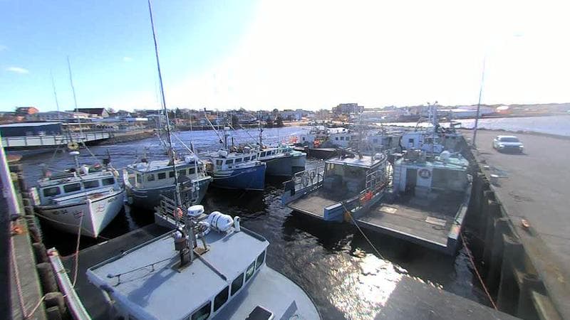 Lobster Rock Wharf East
