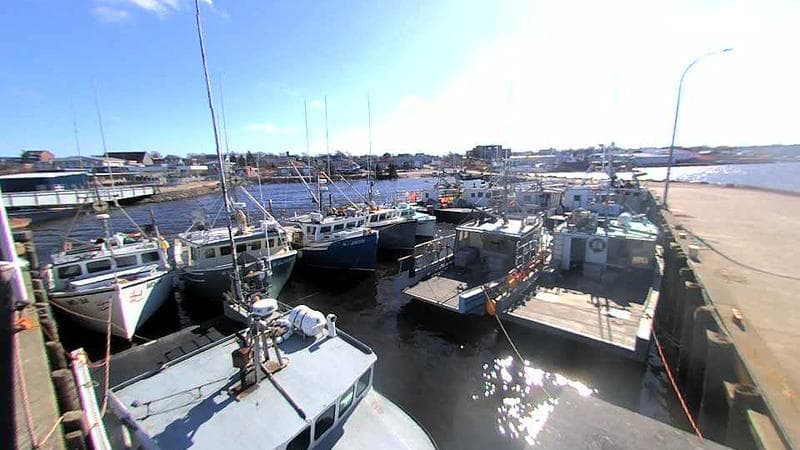 Lobster Rock Wharf East