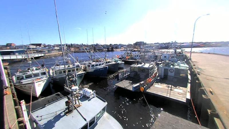 Lobster Rock Wharf East