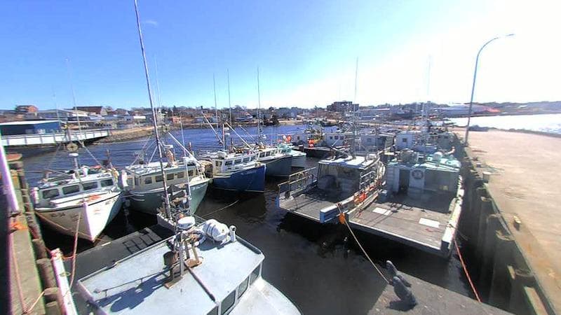 Lobster Rock Wharf East