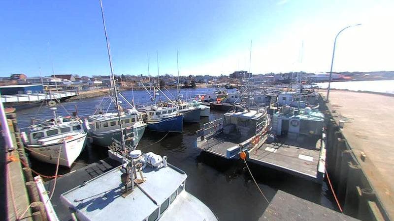 Lobster Rock Wharf East