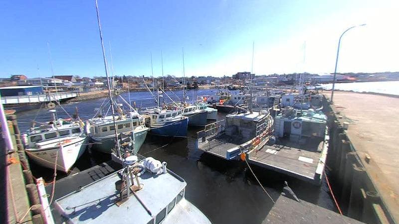 Lobster Rock Wharf East