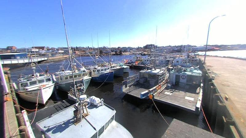 Lobster Rock Wharf East