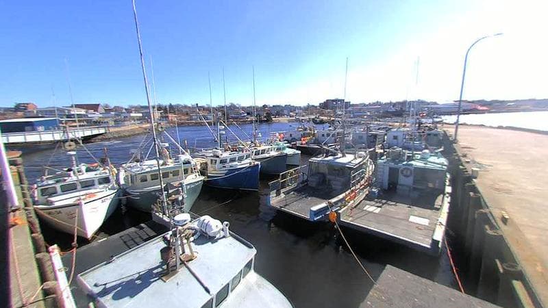 Lobster Rock Wharf East