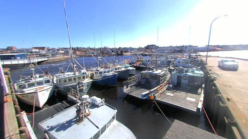 Lobster Rock Wharf East
