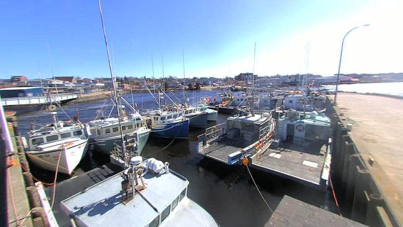 Lobster Rock Wharf East