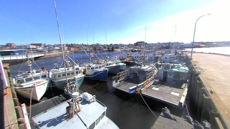 Lobster Rock Wharf East