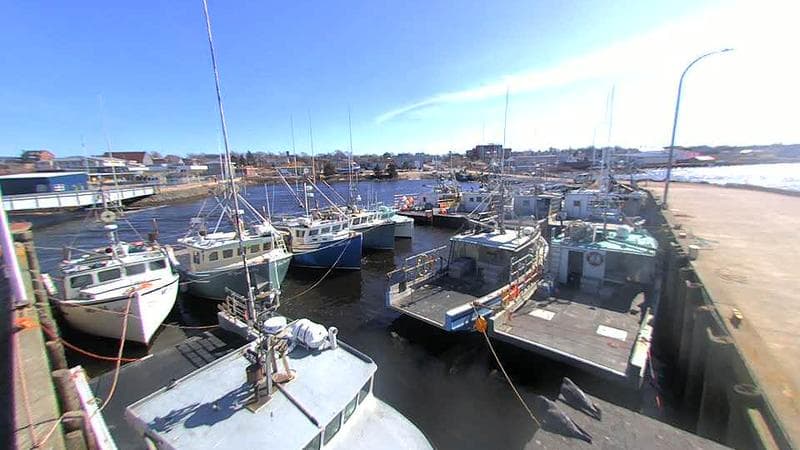 Lobster Rock Wharf East
