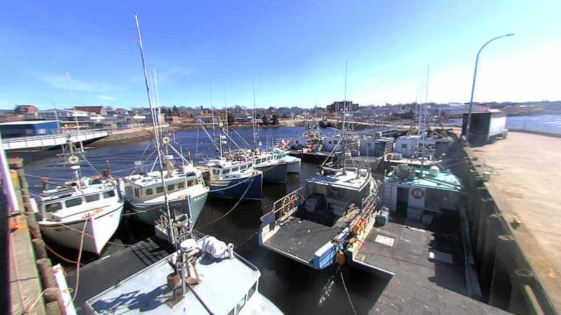 Lobster Rock Wharf East