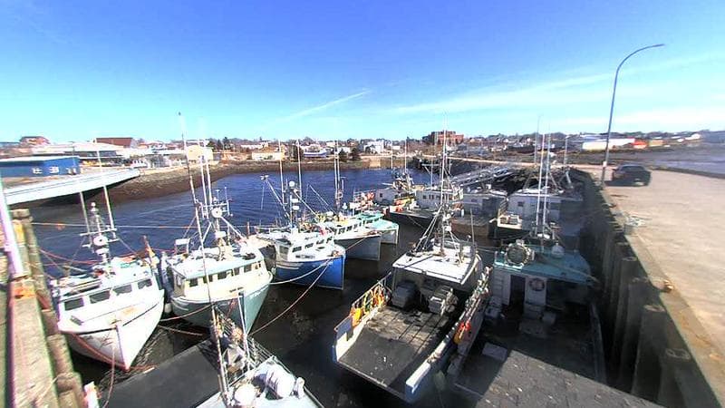 Lobster Rock Wharf East