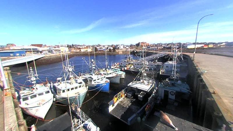 Lobster Rock Wharf East