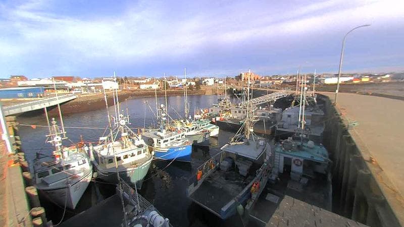Lobster Rock Wharf East