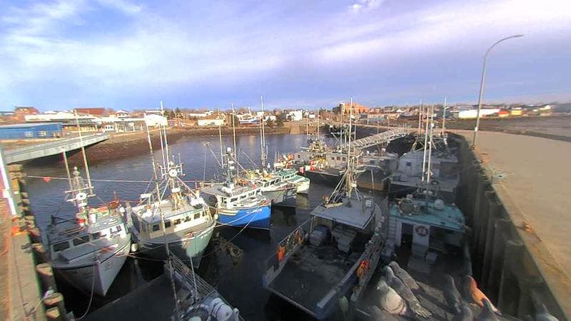 Lobster Rock Wharf East