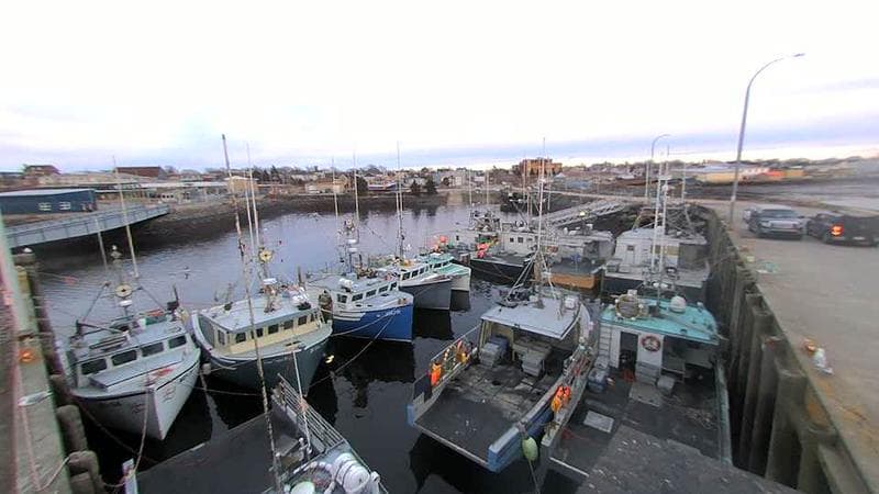 Lobster Rock Wharf East