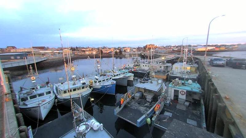 Lobster Rock Wharf East