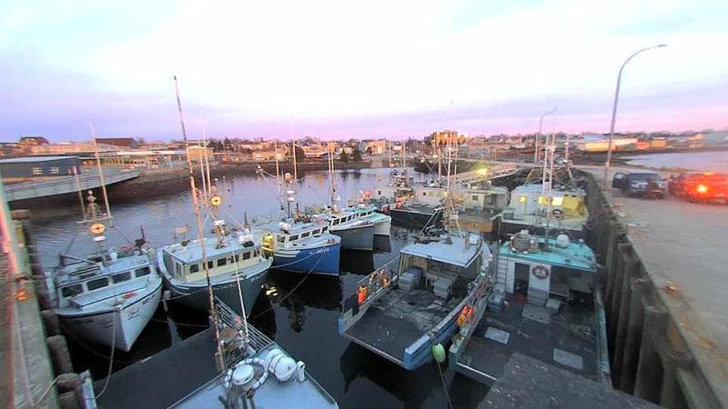 Lobster Rock Wharf East