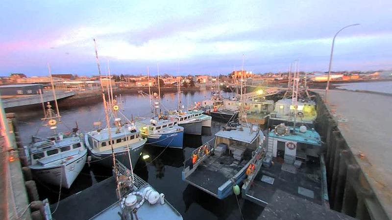Lobster Rock Wharf East