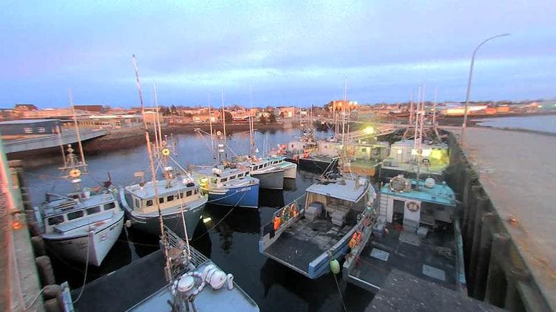 Lobster Rock Wharf East
