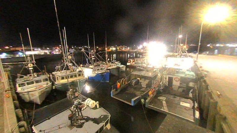 Lobster Rock Wharf East