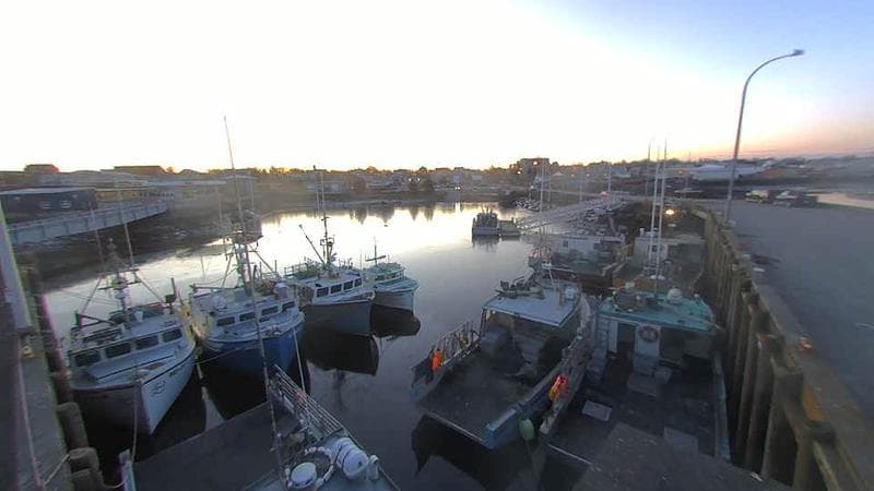 Lobster Rock Wharf East