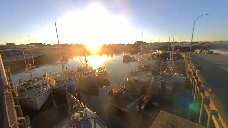 Lobster Rock Wharf East