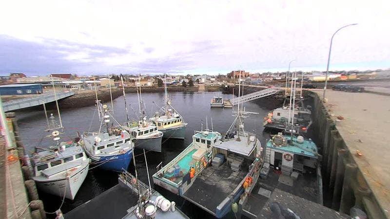 Lobster Rock Wharf East