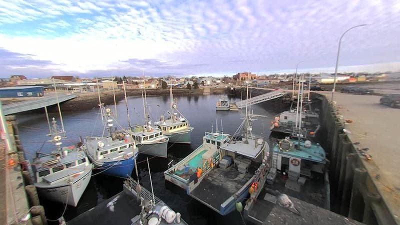 Lobster Rock Wharf East