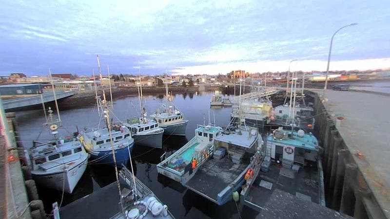 Lobster Rock Wharf East
