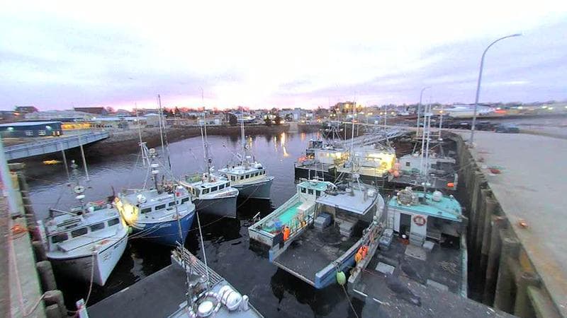 Lobster Rock Wharf East