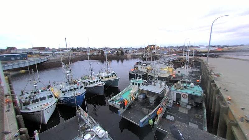 Lobster Rock Wharf East