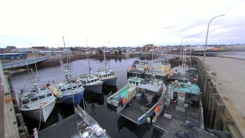 Lobster Rock Wharf East