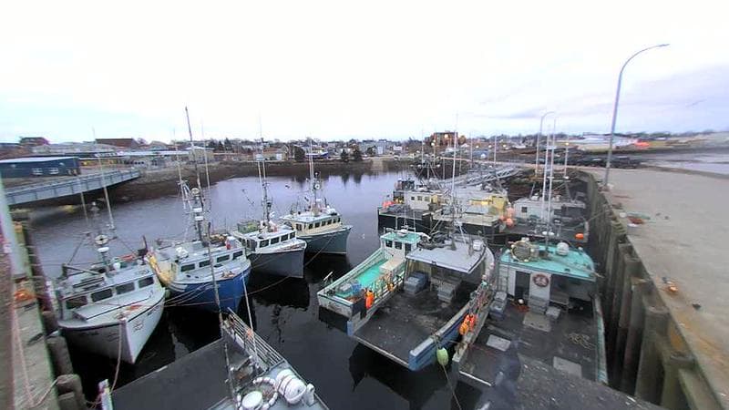 Lobster Rock Wharf East