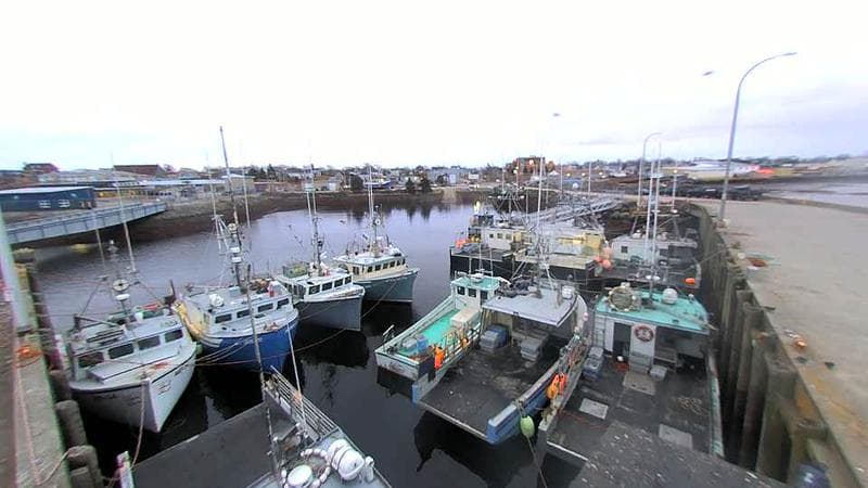 Lobster Rock Wharf East