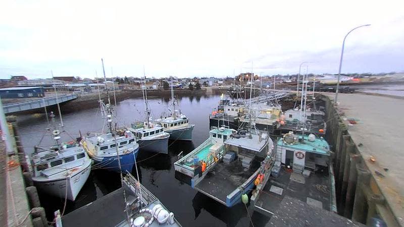 Lobster Rock Wharf East