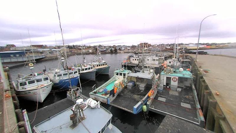 Lobster Rock Wharf East
