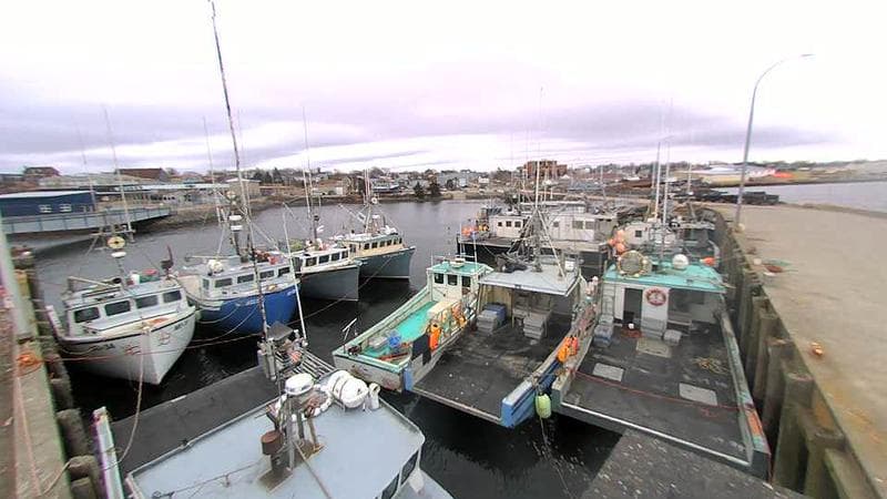 Lobster Rock Wharf East