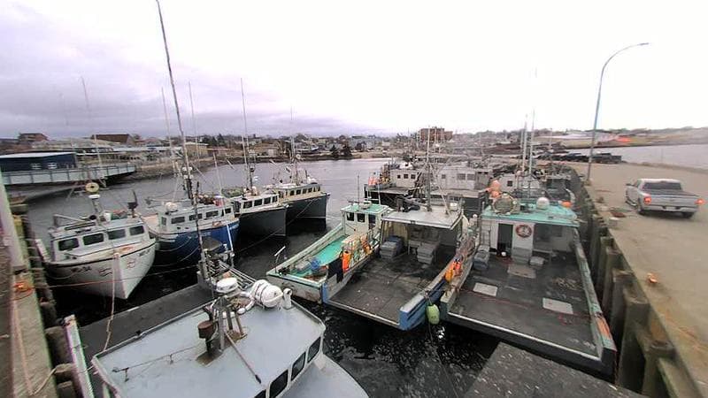 Lobster Rock Wharf East