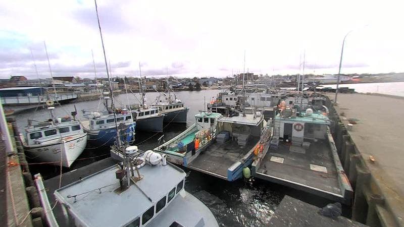 Lobster Rock Wharf East