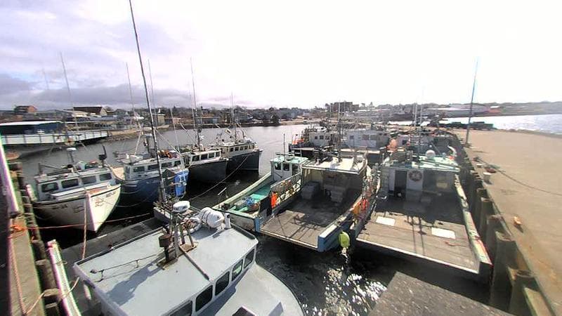 Lobster Rock Wharf East