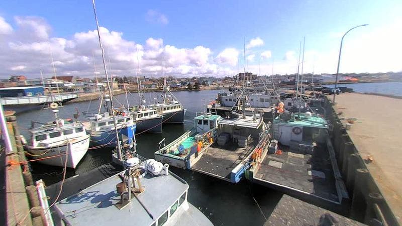 Lobster Rock Wharf East