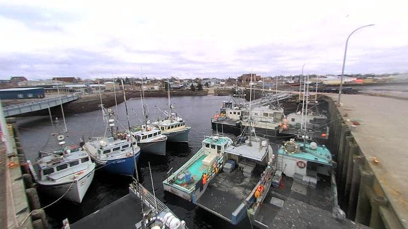 Lobster Rock Wharf East