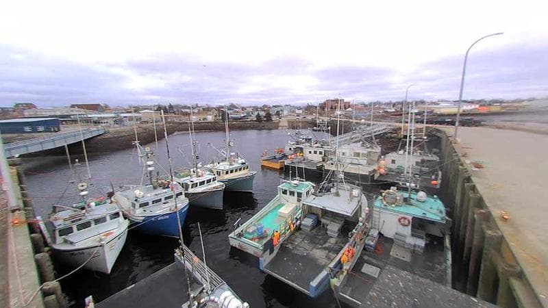 Lobster Rock Wharf East