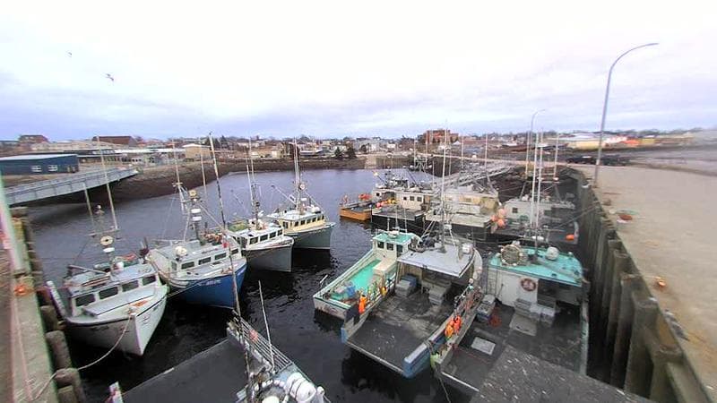 Lobster Rock Wharf East