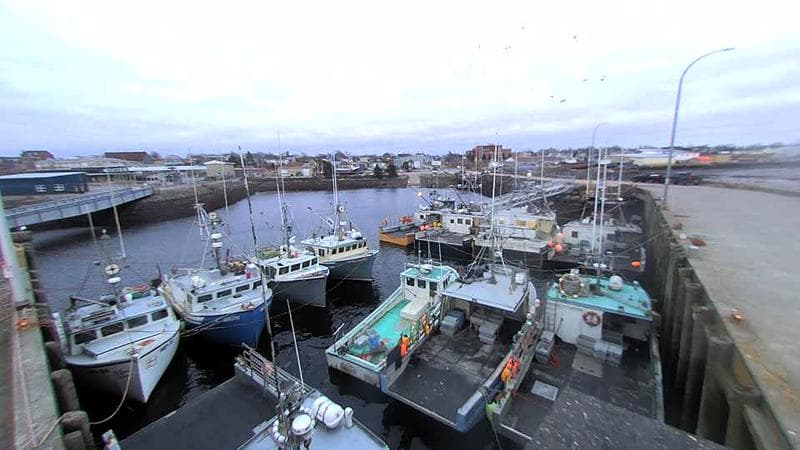 Lobster Rock Wharf East